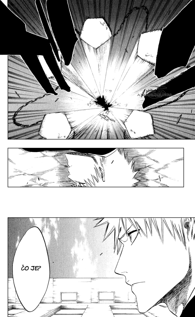 Bleach 218 06 kopie.jpg